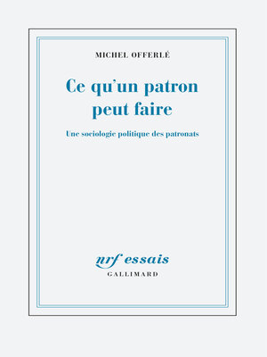 cover image of Ce qu'un patron peut faire. Une sociologie politique des patronats
